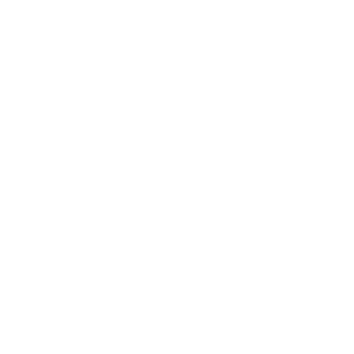 logo 9