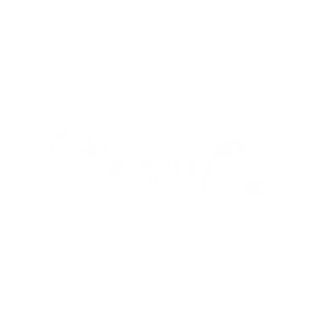 flowfa logo