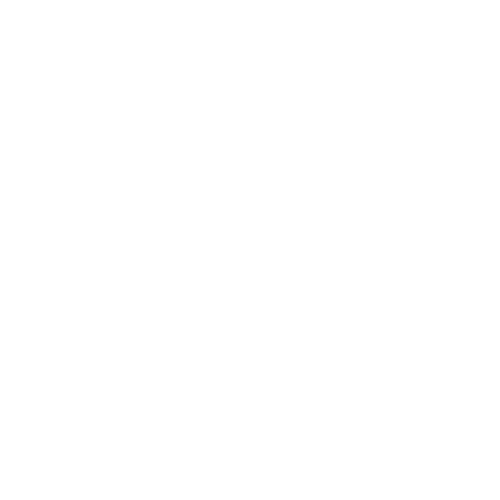 logo killi